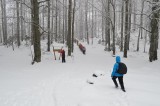 29. Lagano napredujemo